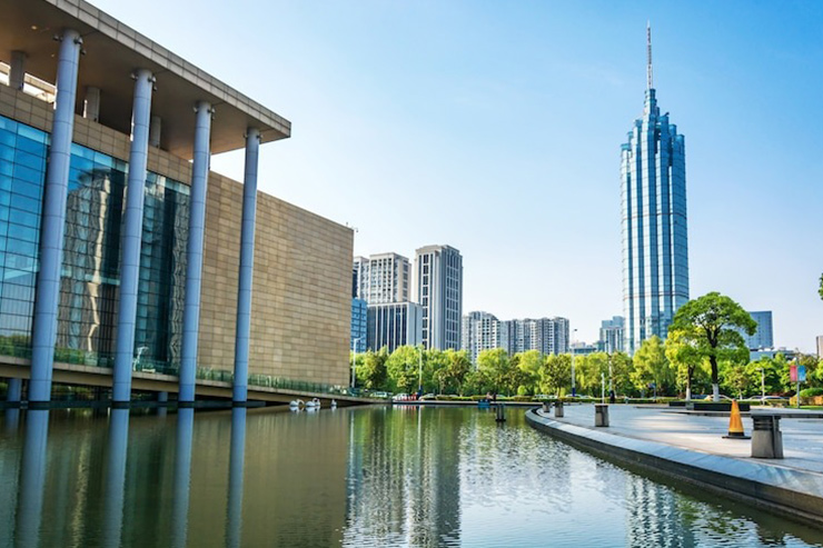 Expert Financial Guidance