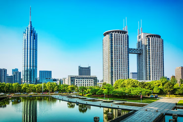 Expert Financial Guidance